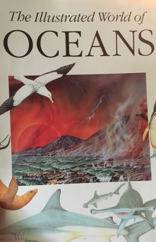The Illustrated World of Oceans