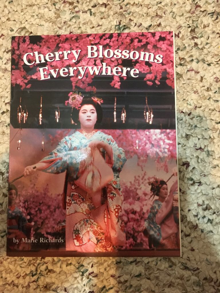 Cherry Blossoms Everywhere