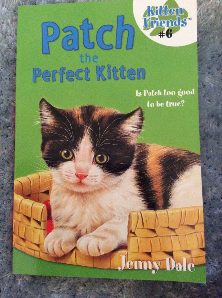 Patch the Perfect Kitten