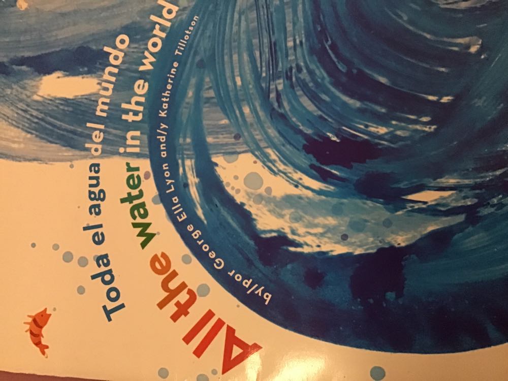 Todo El Agua Del Mundo - Ella Lyon, book collectible - Main Image 1