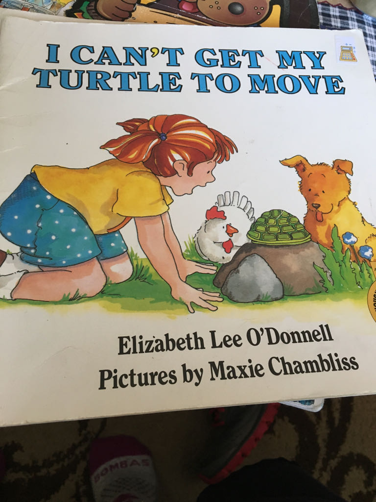 I Can’t Get My Turtle To Move