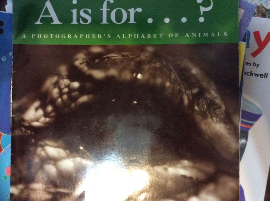 "A” is For. . . .?
