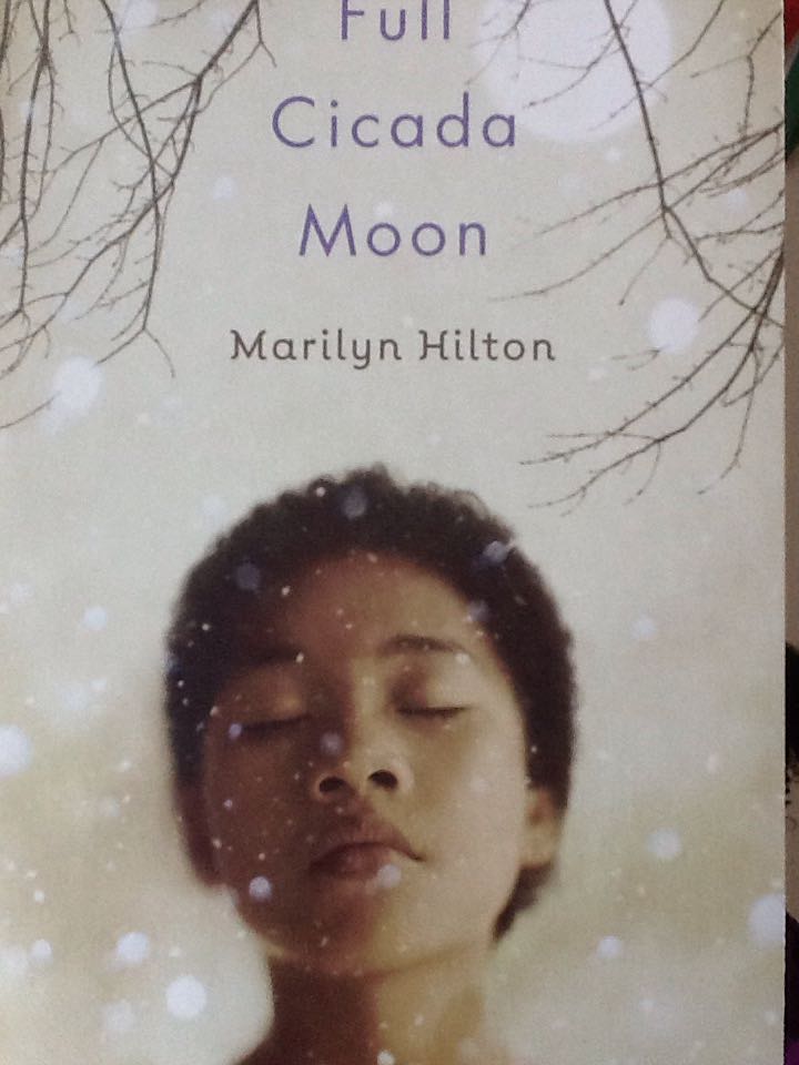 Full Cicada Moon - Marilyn Hilton (- Paperback) book collectible [Barcode 9781338182767] - Main Image 1