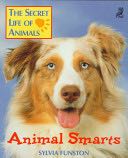 Animal Smarts
