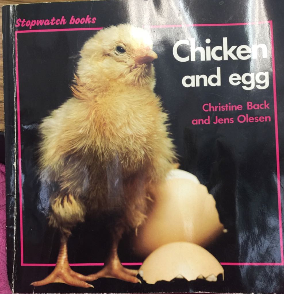 Chicken and Egg