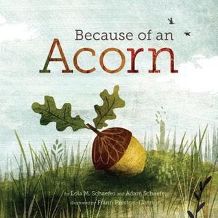 Because Of An Acorn - Lola M. Schaefer (Scholastic - Paperback) book collectible [Barcode 9781338244878] - Main Image 1