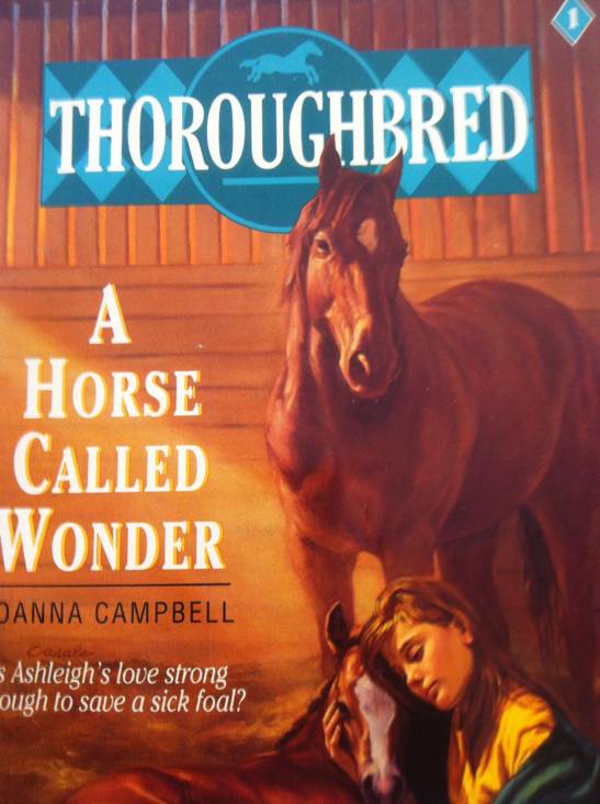 Thoroughbred #01: A Horse Called Wonder