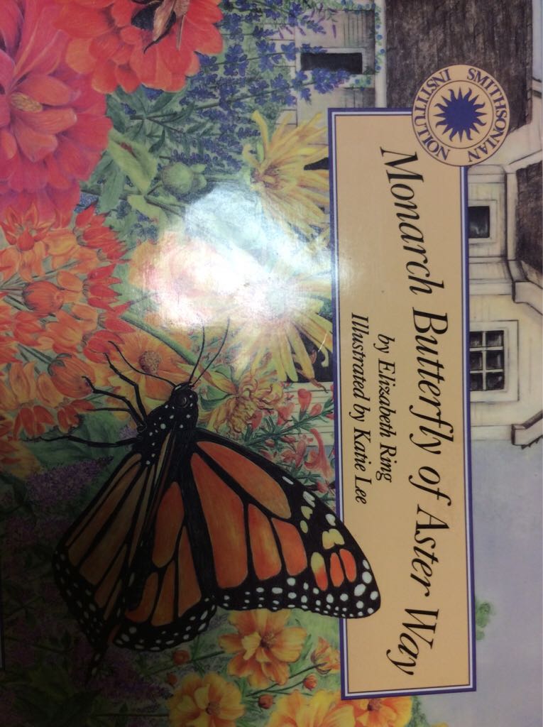 Monarch Butterflies of Aster Way