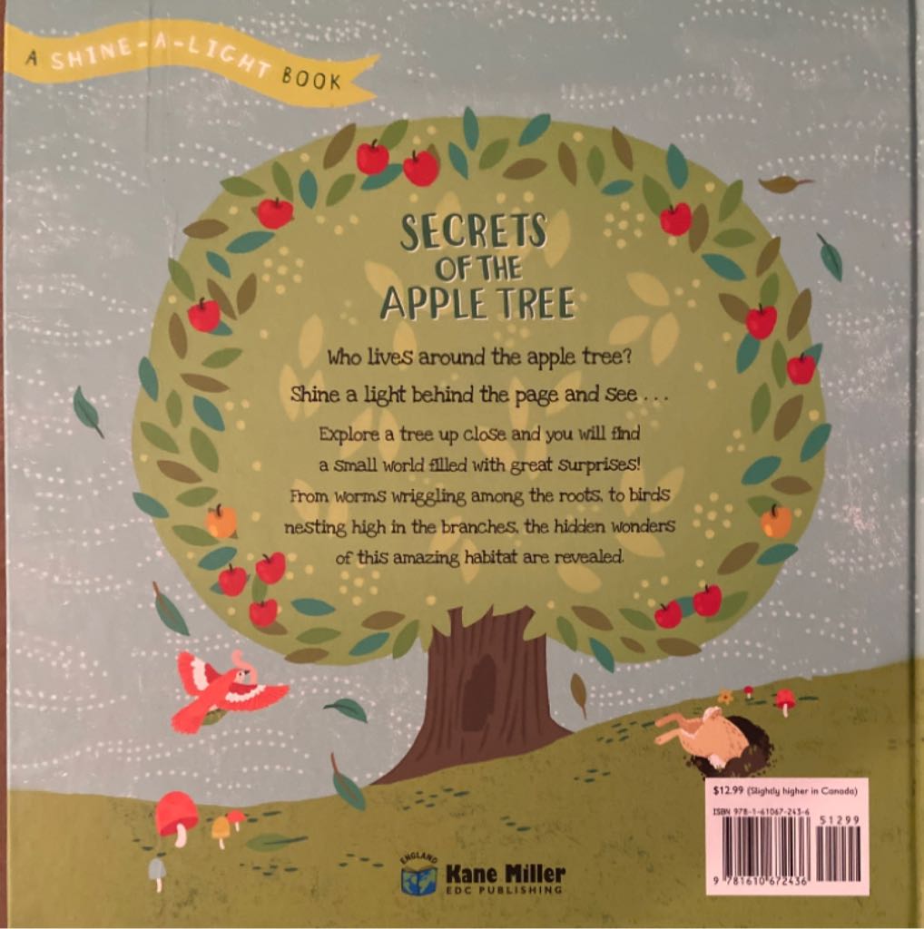 Secrets of the Apple Tree - Carron Brown (Kane/Miller Book Publishers - Hardcover) book collectible [Barcode 9781610672436] - Main Image 2