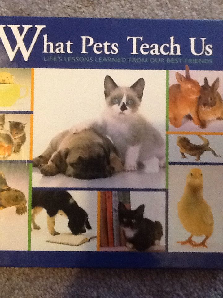 What Pets Teach Us
