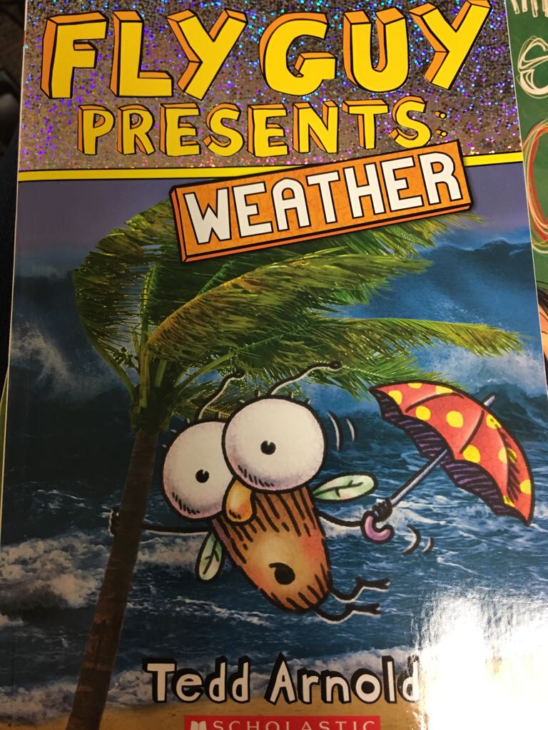 Fly Guy Presents: Weather - Tedd Arnold (Scholastic - Paperback) book collectible [Barcode 9780545851879] - Main Image 1