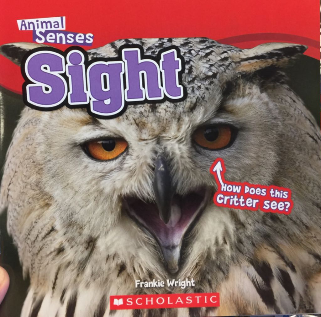 Animal Senses: Sight