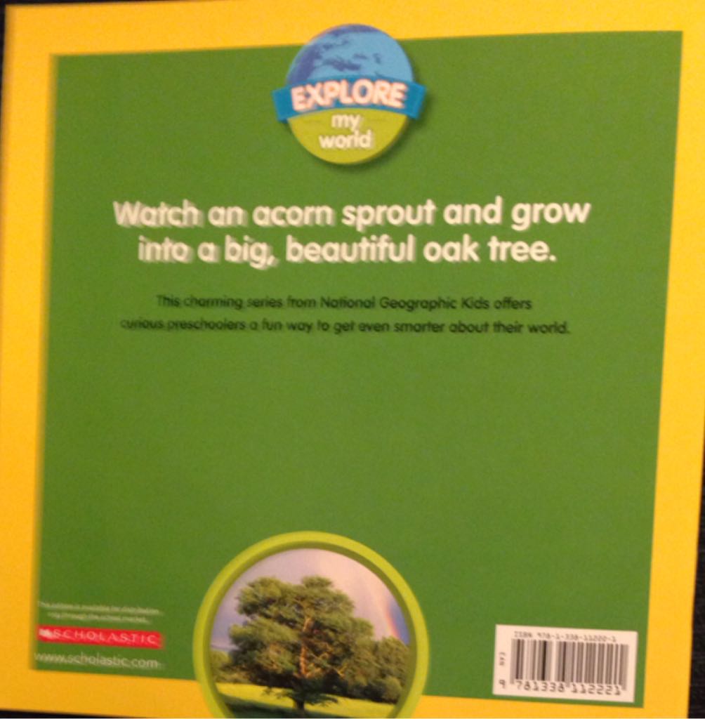 A Tree Grows Up - Marfe Ferguson Delano (Scholastic, Inc - Paperback) book collectible [Barcode 9781338112221] - Main Image 2
