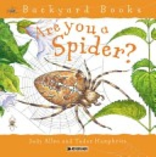 Are You A Spider? - Judy Allen (Kingfisher Books - Paperback) book collectible [Barcode 9780753456095] - Main Image 1