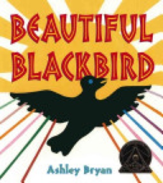 Beautiful Blackbird [C16]