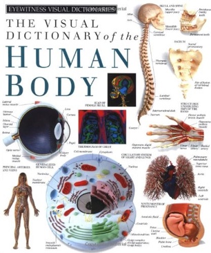 EVD: The Visual Dictionary Of The Human Body [C20]