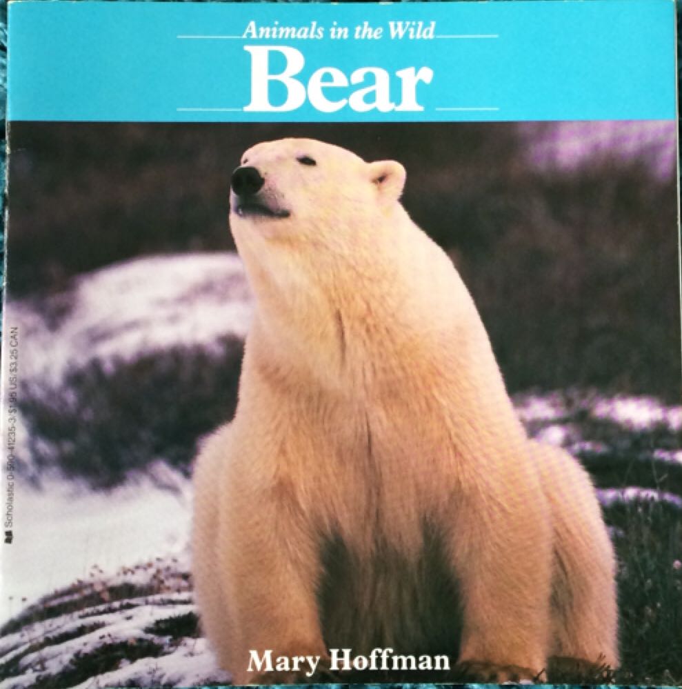 Bear - Mary Hoffman (Scholastic - Paperback) book collectible [Barcode 9780590412353] - Main Image 1