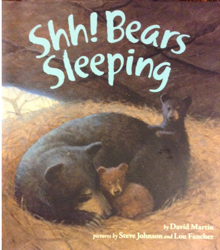Shh! Bears Sleeping