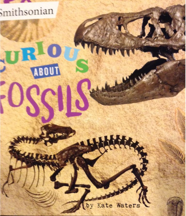 Curious About Fossils