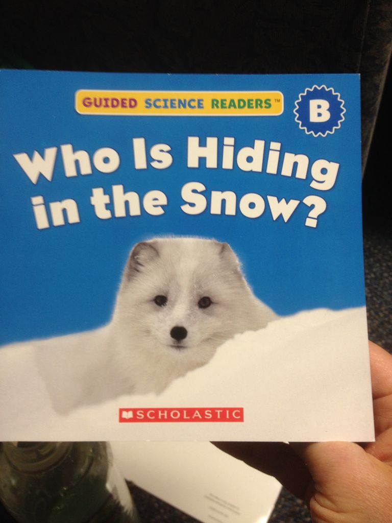 Who Is Hiding In The Snow?