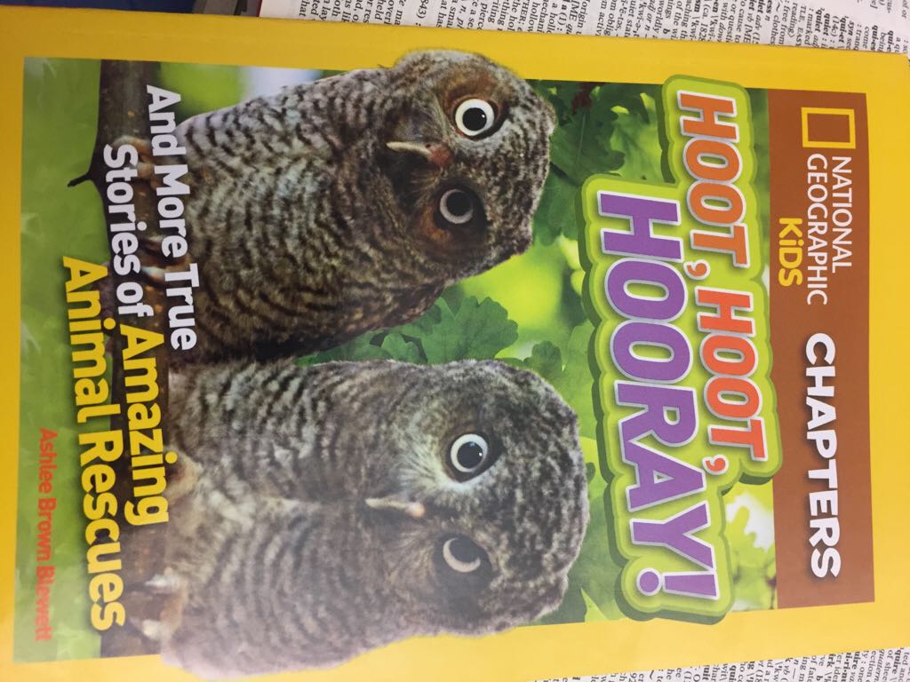 Hoot, Hoot, Hooray!