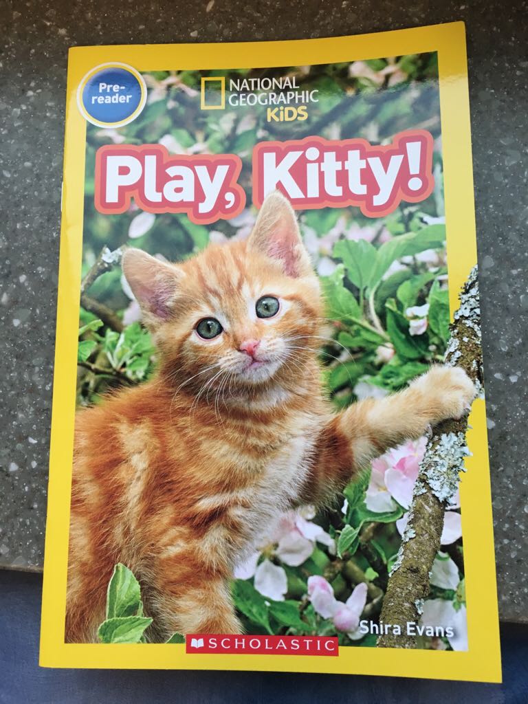 Play, Kitty!