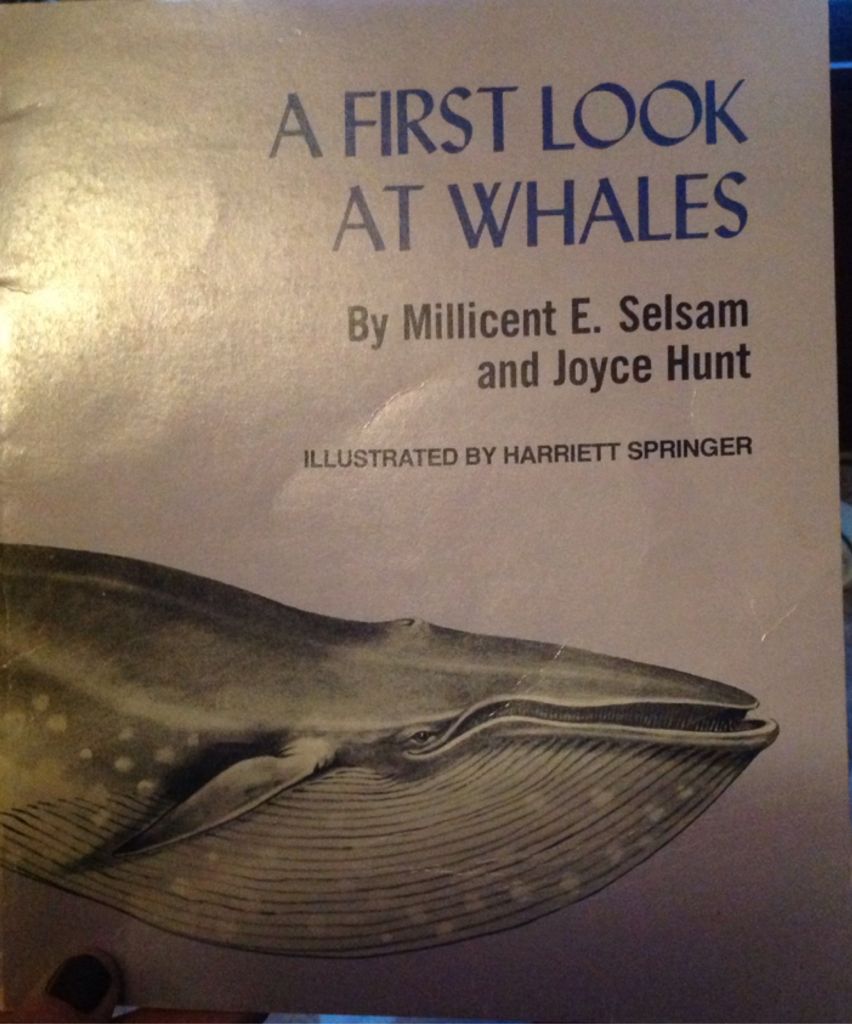 First Look At Whales, A