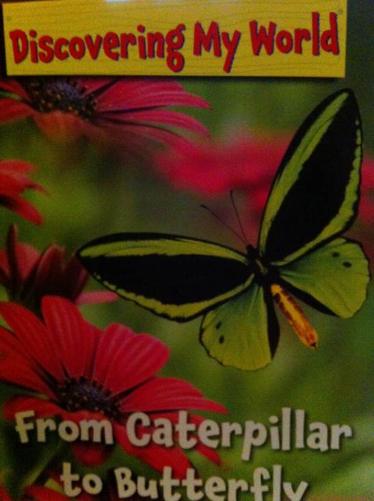 Discovering My World: From Caterpillar To Butterfly - Melvin And Gilda Berger book collectible [Barcode 9780545244565] - Main Image 1