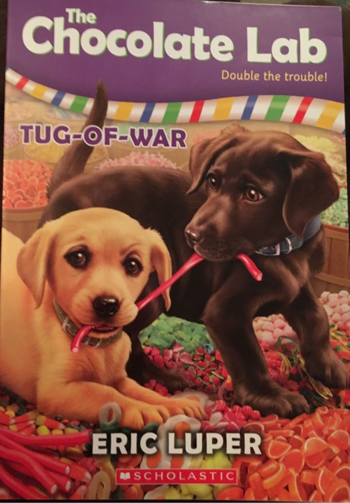 Chocolate Lab. (2): Tug-Of-War - Eric Luper (A Scholastic Press - Paperback) book collectible [Barcode 9780545902427] - Main Image 1