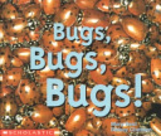 Bugs, Bugs, Bugs! - Clarissa Willis (Scholastic - Paperback) book collectible [Barcode 9780590397926] - Main Image 1