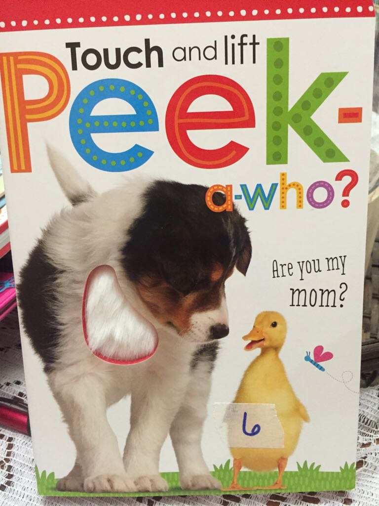 Touch and Lift Peek-a-who? Are You My Mom?