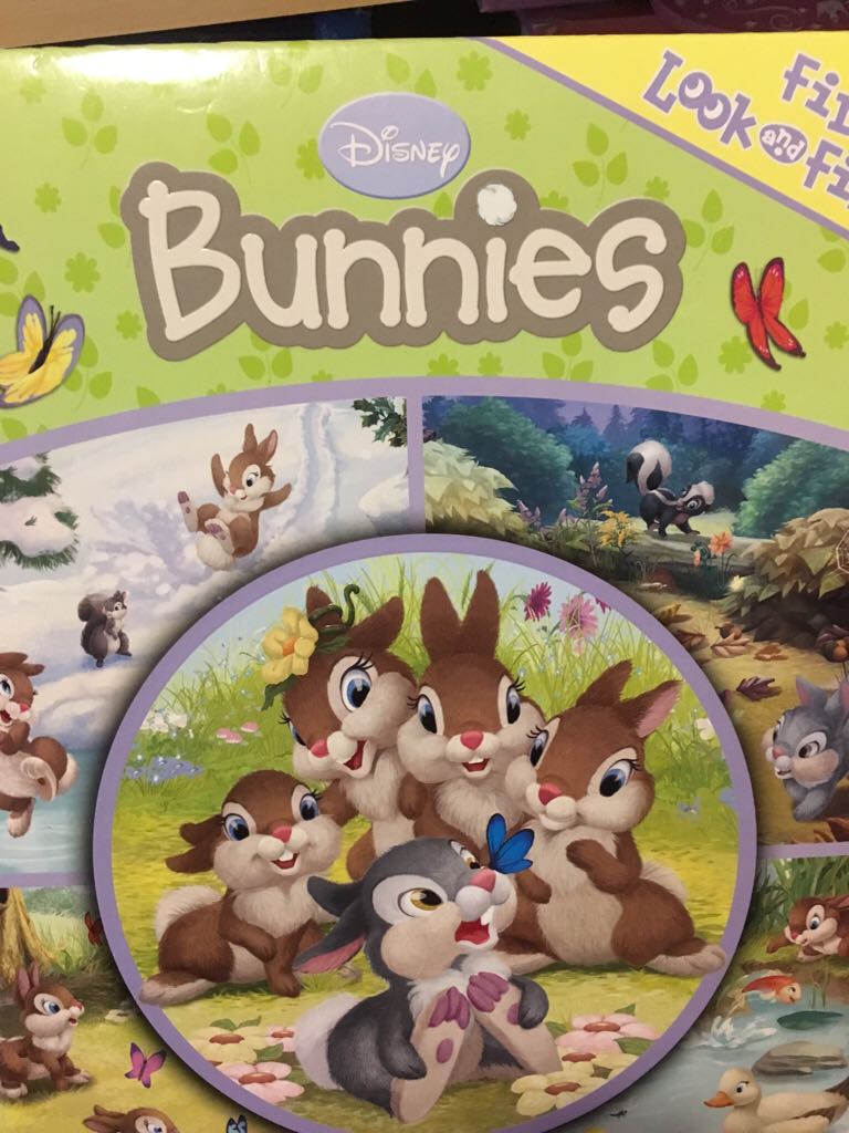 Disney Bunnies Look & Find