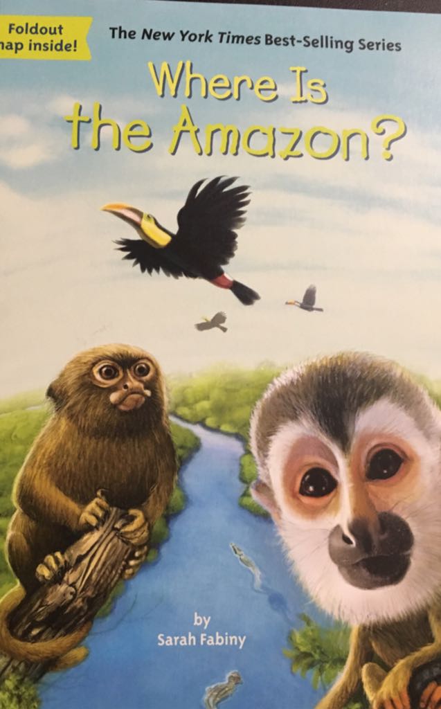 Where Is the Amazon?