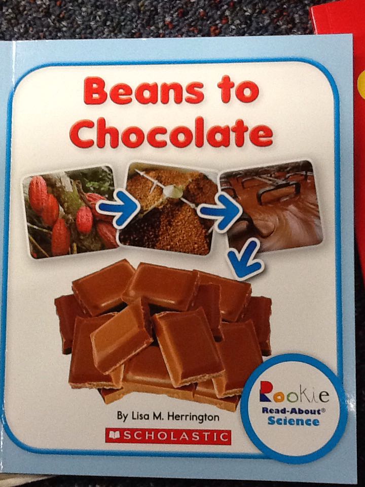Beans To Chocolate