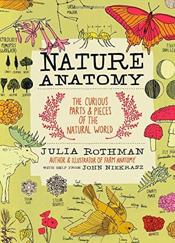 Anatomy of Nature