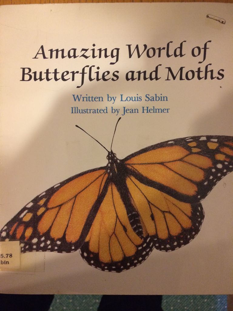 Amazing World of Butterflies and Moths - Louis Sabin (Troll Communications Llc - Paperback) book collectible [Barcode 9780893755614] - Main Image 1