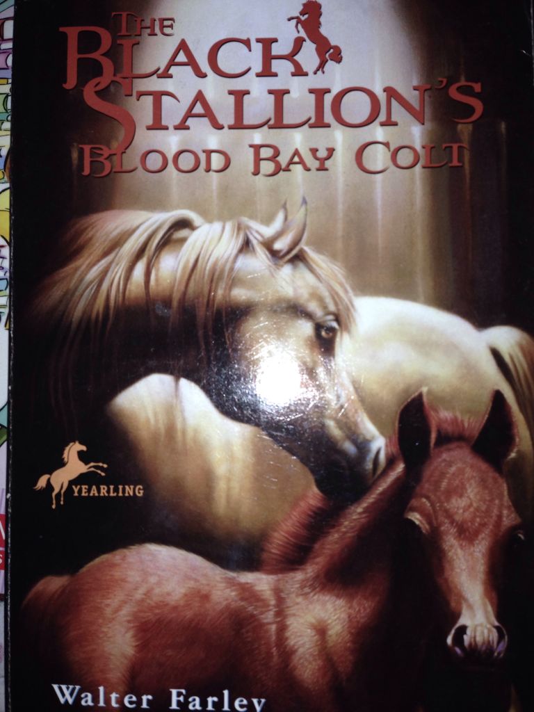 The Black Stallion 6: The Black Stallion’s Blood Bay Colt