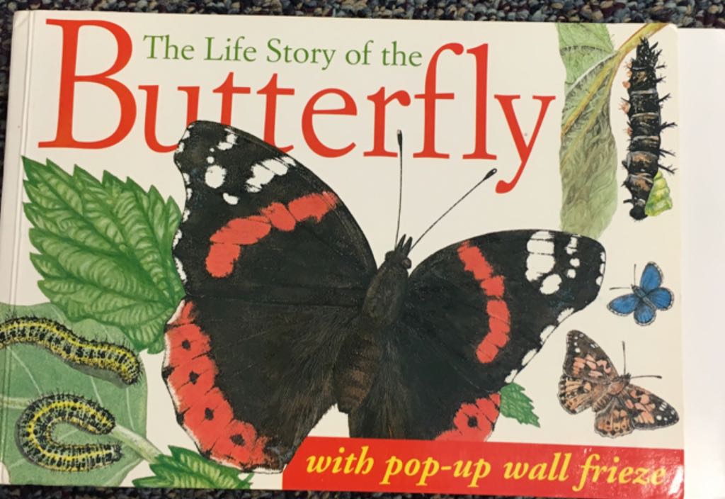 Life Story Of A Butterfly, The