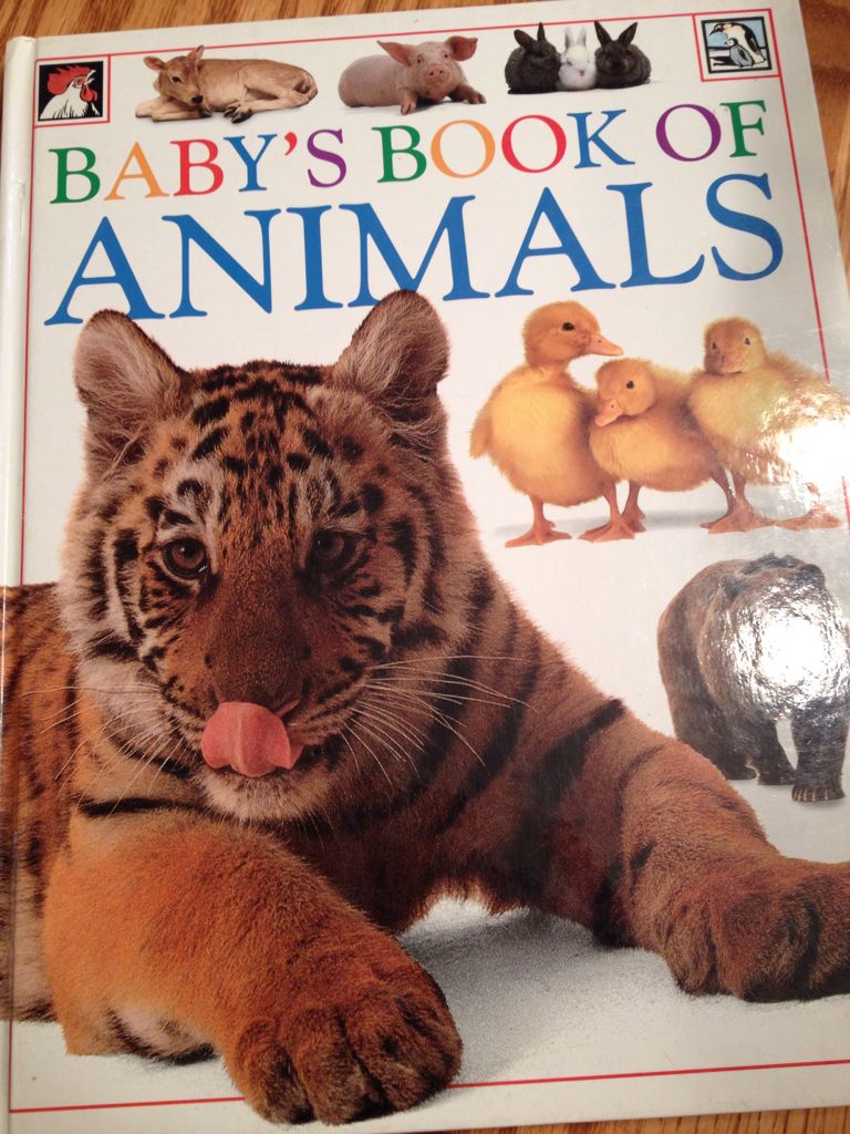 Baby’s Book Of Animals