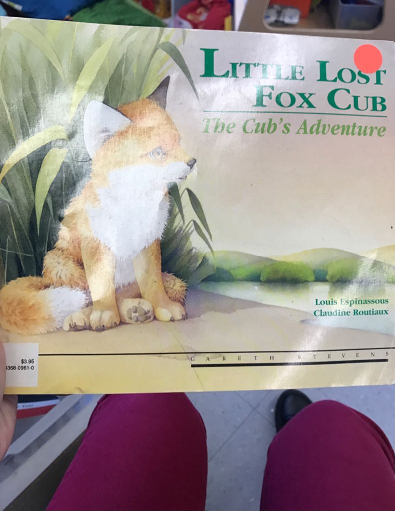 The Cub’s Adventures 