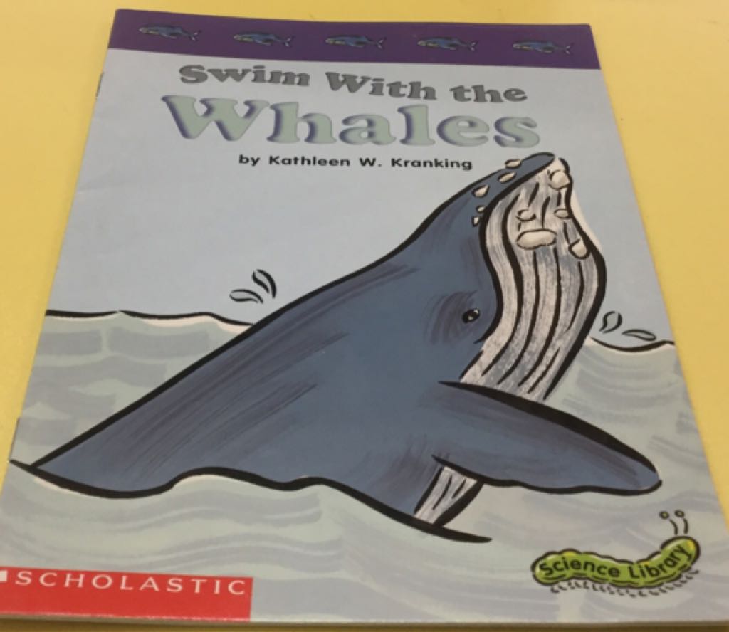 Swim with the Whales