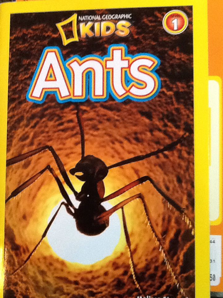 Ants - Melvin And Gilda Berger (Scholastic - Paperback) book collectible [Barcode 9780545422000] - Main Image 1