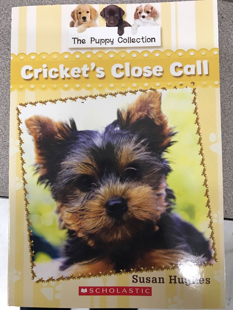 Cricket’ Close Call