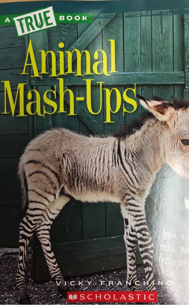 Animal Mash-ups