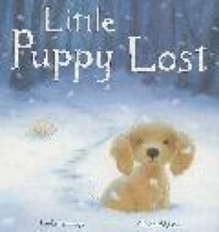 Little Puppy Lost