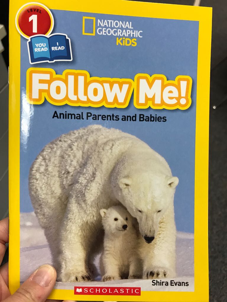 Follow Me Animal Parents And Babies