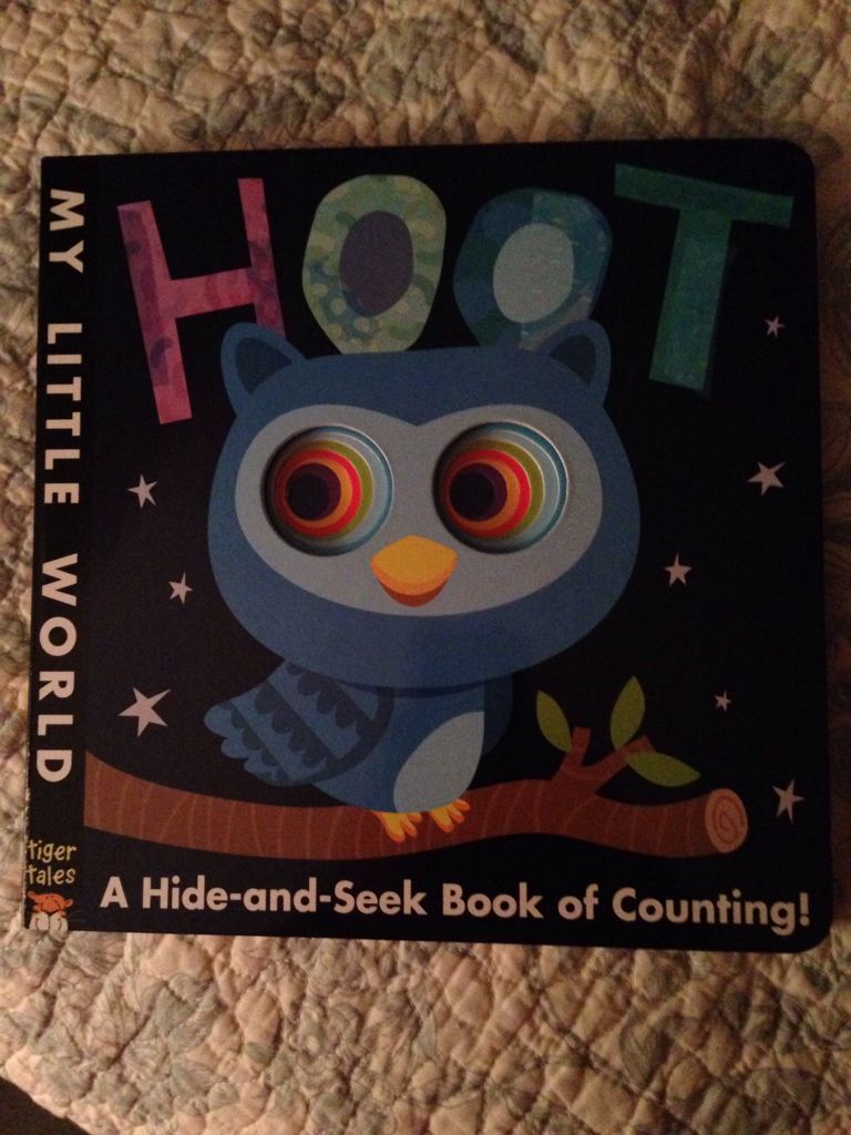 Hoot: A Hide-and-Seek Book of Counting (orange)