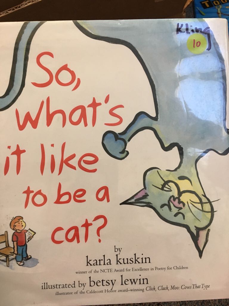 So What’s It Like To Be A Cat