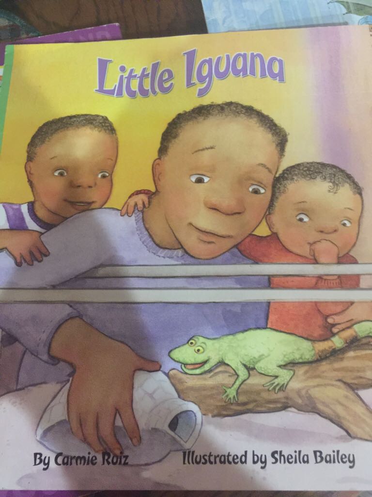 Little Iguana 