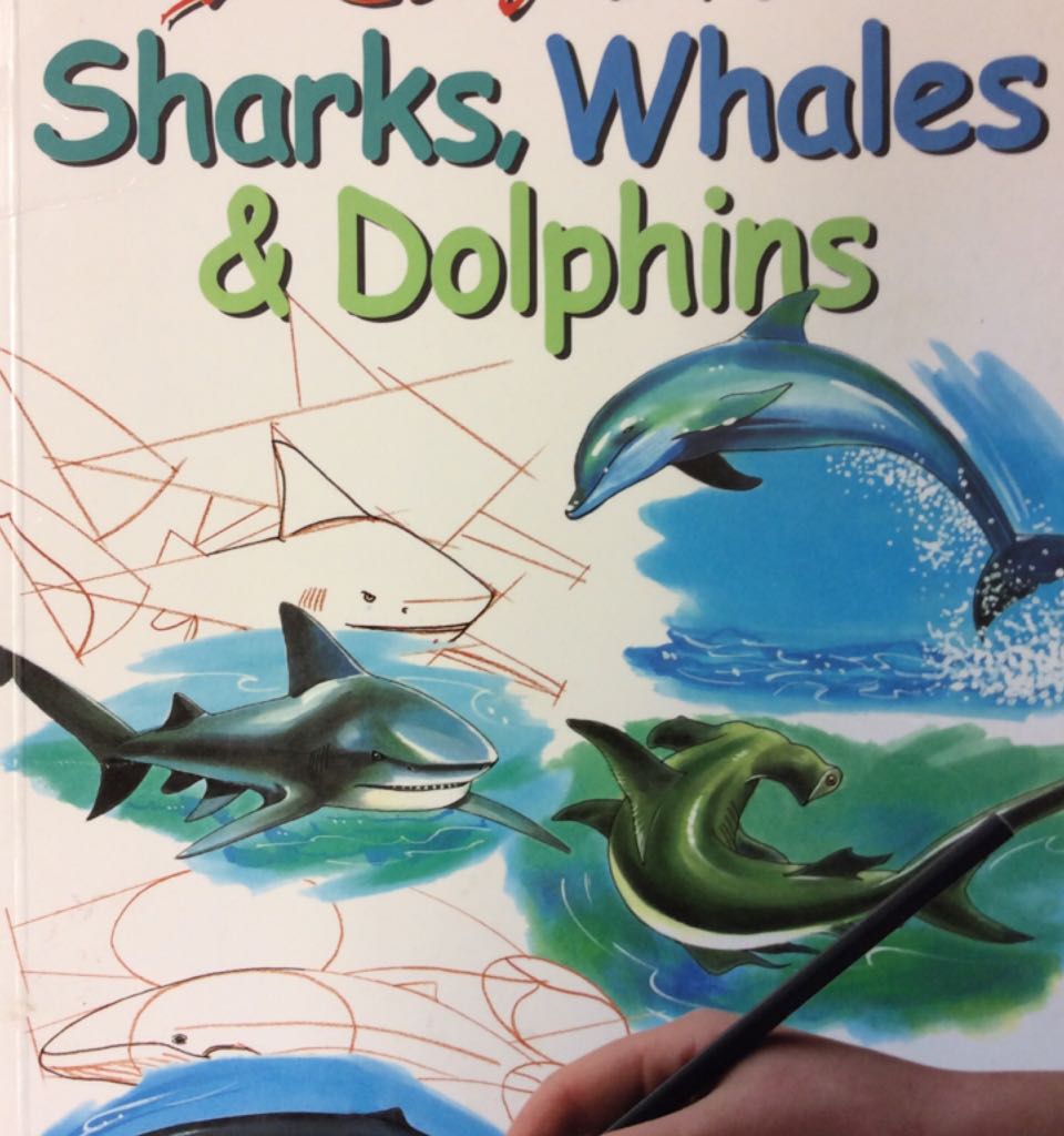 I Can Draw Sharks Whales And Dolphins